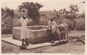 Curacao Willemstad Locals With Donkey At The Water Well Real Photo