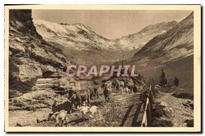 Old Postcard The Alps Chazelet the way to Pastures