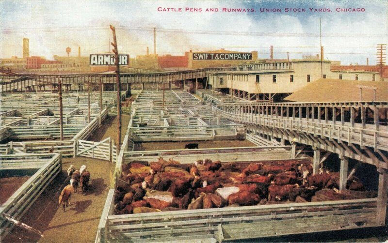 USA Cattle Pens and Runways Union Stock Yards Chicago 03.78