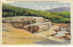 US  used. Hot Springs, Yellowstone, Wyoming. Stamp #804. Mailed 1946.