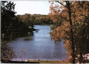 Postcard NATURE SCENE Hell Creek Michigan MI AI0323