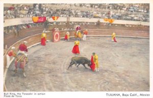 Bull Ring, the Toreador in action, Plaza de Toros Tarjeta Postal Bullfighting...