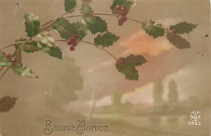 Floral vintage greetings postcard New Year mistletoe leaf Belgium