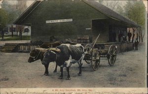 Mt. Mount Airy Georgia GA RR Train Station Depot Oxen Omnibus c1910 Postcard