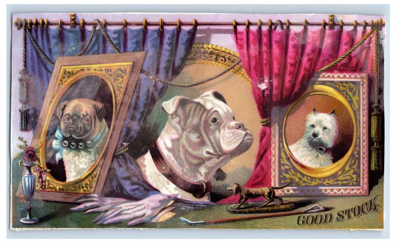 1870's Good Stock Bulldog Dogs Geo S Harris Inner Cigar Box Label #6KE