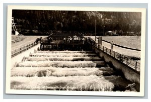 Vintage 1950's RPPC Postcard Fish Ladder Bonneville Dam Oregon