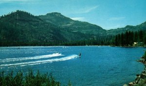 Vintage Water Skiing On Donner Lake Truckee, CA Postcard F84