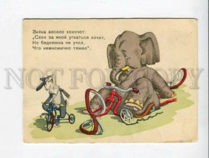 3042242 Funny ELEPHANT & HARE on BICYCLE old PC