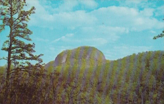 North Carolina Looking Glass Rock Pisgah National Forest 1965