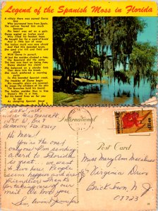 Legend of the Spanish Moss in Florida (9963)