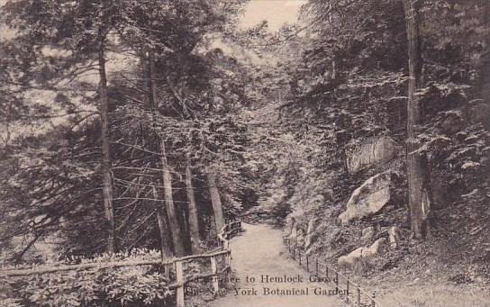 Entrance To Hemlock Grove The New York Botanical Garden New York City New Yor...