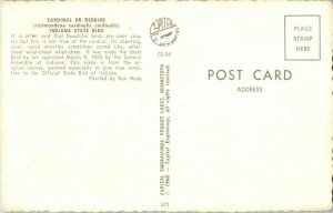 Cardinal or Red Bird the State Bird Indiana Postcard