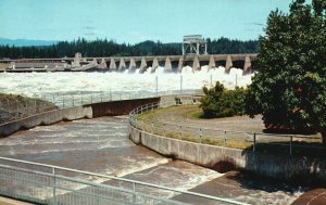 Bonneville Dam Open Spillway Fish Ladders Oregon And Washington Vintage Postcard