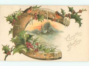 Divided-Back CHRISTMAS BIRDS SCENE Pretty Postcard W8529