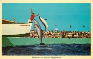 Gulf Stream Teich Miami Florida Showtime Scene Postcard 20-8652