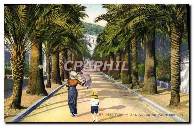 Old Postcard Menton A Allee Palmiers