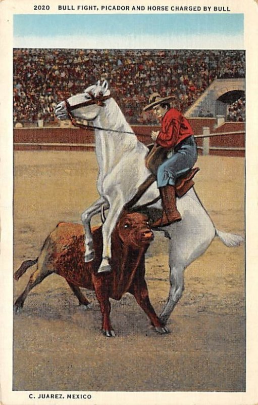 C. Juarez, Mexico, Bullfighting Unused 