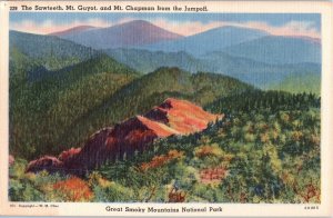 the Sawteeth Mt Guyot and MT Chapman from the Jumpoff Colorado Postcard