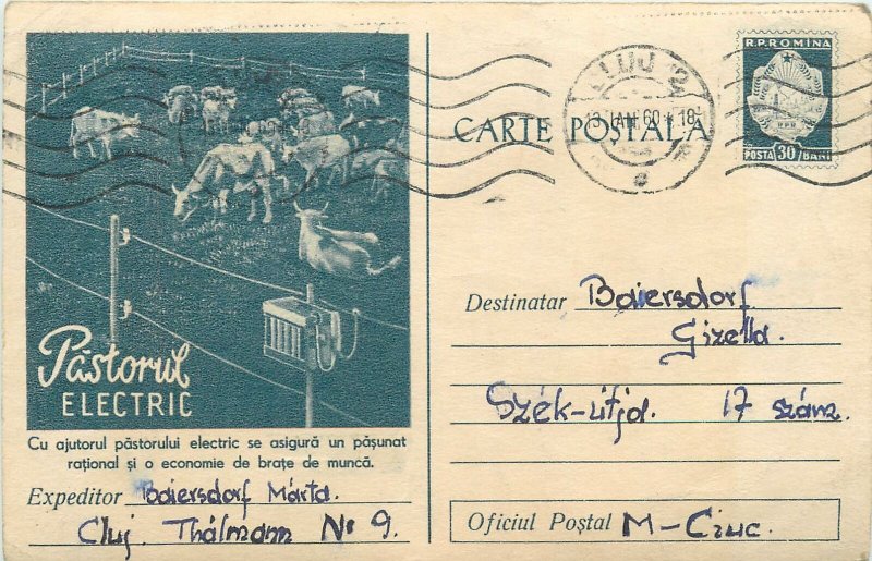 Industry Romania 1960s postal stationery postcard electric sheperd ad