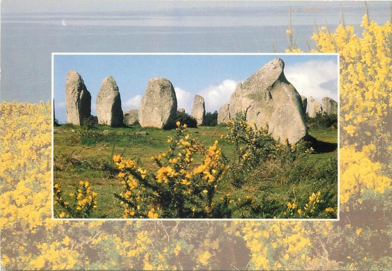 Lot 15 postcards France Carnac Bretagne Morbihan Dolmen 