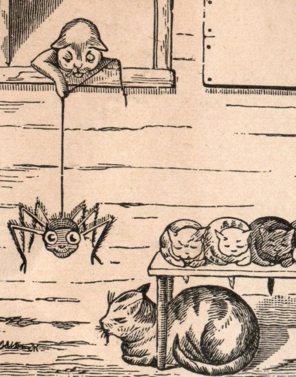 1870s-80s Comical Victorian Trade Comical Cats Prank Spider Set Of 2 P149