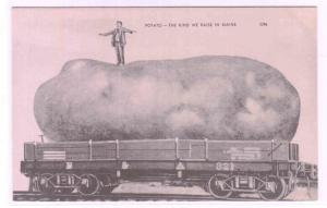 Potato Exaggeration Railroad Car Maine postcard