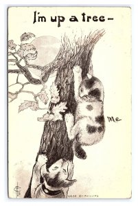 Cat Postcard I'm Up A Tree - Artist Signed I. Phillips c1911 Postmark