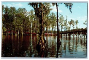 c1960's Gorgeous and Colorful Greenfield Gardens, Wilmington NC Postcard 