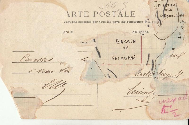 Algeria Biskra children ethnic types donkey