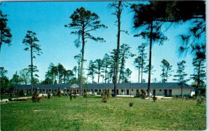 CAPE CHARLES, Virginia  VA   Roadside PEACOCK MOTOR INN  ca 1950s  Postcard