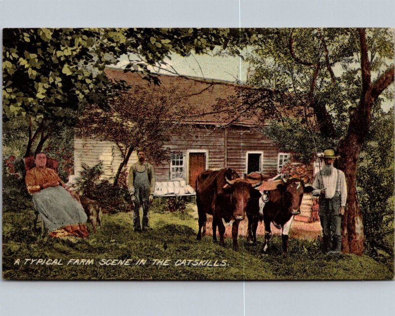 Farm Family, Oxen, Typical Farm Scene in the Catskills NY Vintage Postcard O51