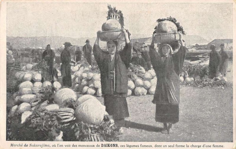 Sakurajima Japan Farming Scene Daikon Radishes at Market Postcard AA32470