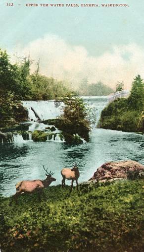 WA - Olympia, Upper Tum Water Falls