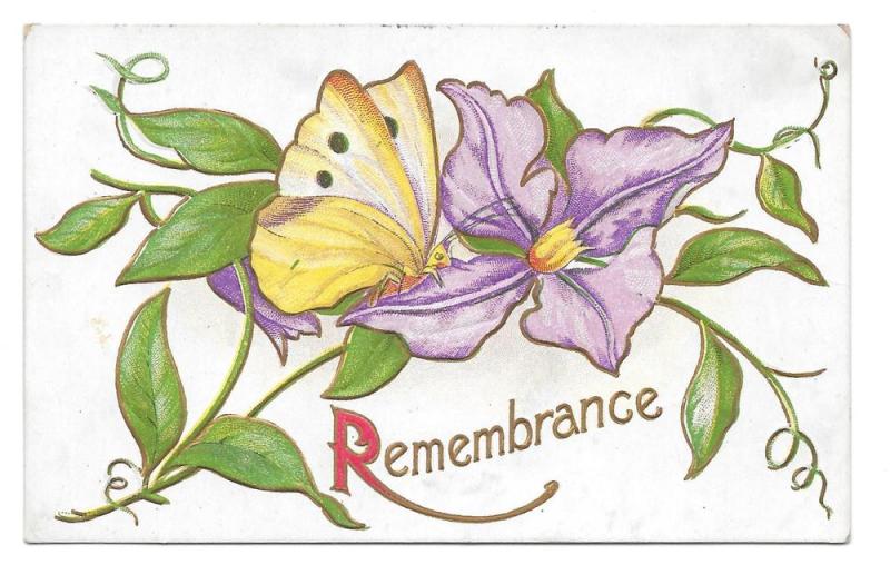 Remembrance Butterfly Purple Clematis flower 1905 Postcard