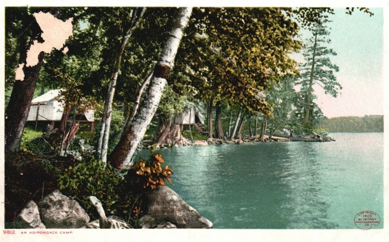 Vintage Postcard Adirondack Camp Riverview Forest Tree Adventure Picnic New York
