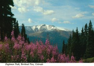 Vintage Postcard Engleman Peak & Crater Mountain from Berthoud Pass Colorado CO