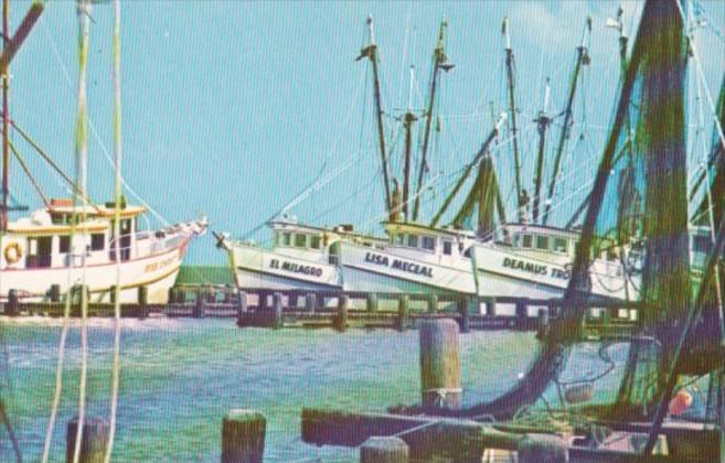 Texas Corpus Christi Shrimp Fleet