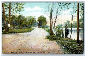 c1950's Winding Road Beardsley Park Lake Dirt Road Trees Bridgeport CT Postcard 