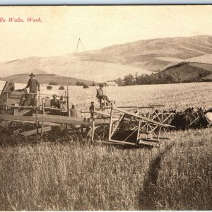 c1900s UDB Walla Walla, Wash Farm Harvest Implement PC Tom Jones Tallman WA A186