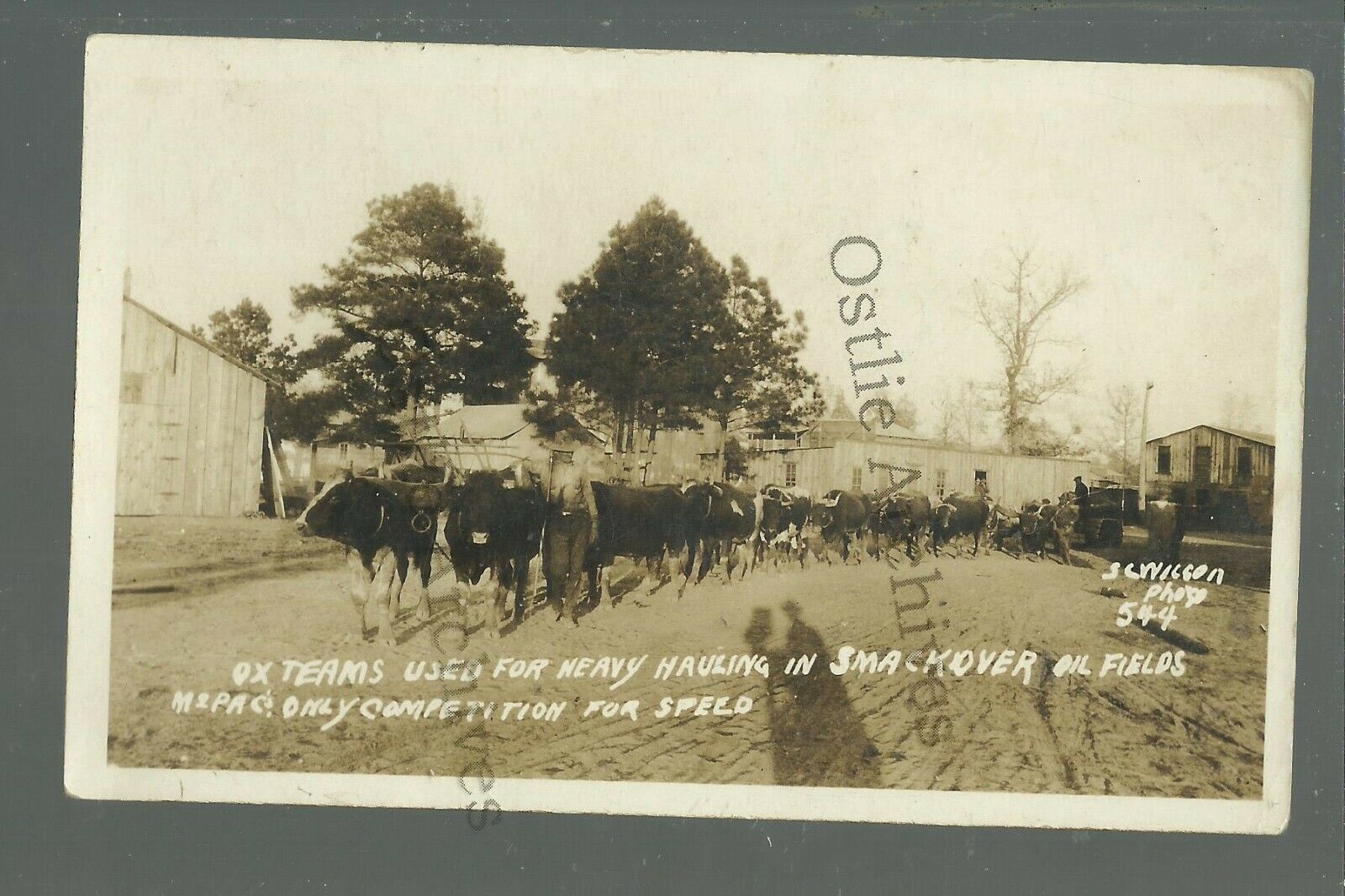 Smackover ARKANSAS RPPC c1920 TEAMSTER WAGON Ox Teams OIL FIELD nr El