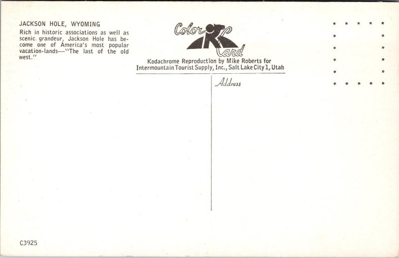 Vtg Wyoming WY Jackson Hole Scenic Mountain View 1950s Postcard