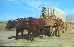 Ox Team Covered Wagon Oxen Buck & Princess White Feather Vintage Postcard E1