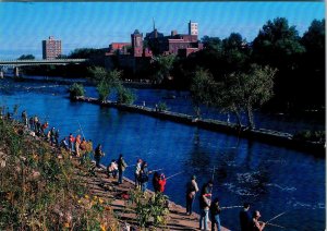 Oswego, NY New York  FISHERMEN On OSWEGO RIVER BANK  Fishing  4X6 Postcard