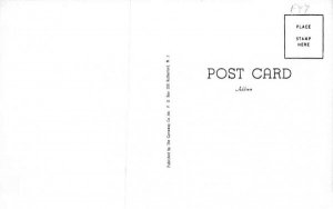 Bird's Eye View Andes, New York Postcard