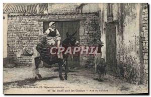 Old Postcard Donkey Mule Road to the fields Ane panties