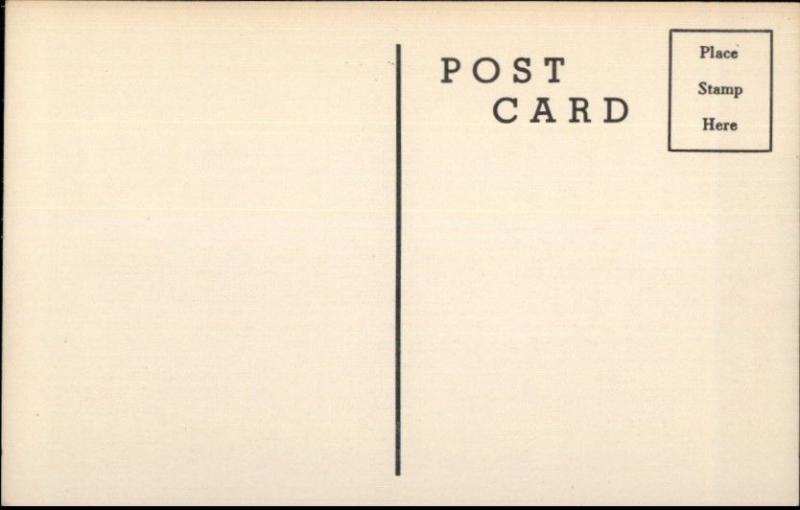 US Navy WWII Era Ship USS Macon CA 132 Postcard