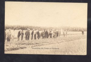 DOYLESTOWN PENNSYLVANIA PA BURPEE SEED COMPANY VINTAGE ADVERTISING POSTCARD