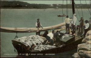 Bermuda - Fishermen - Catch & Boat c1910 Postcard