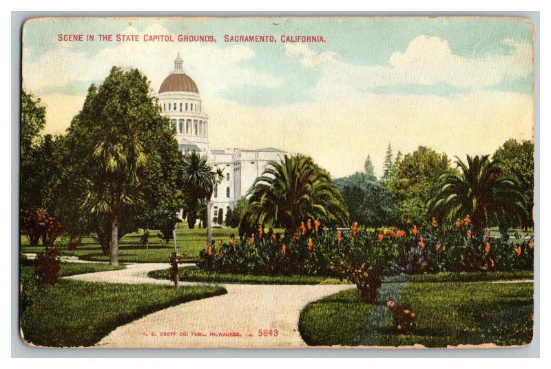 Scene In The State Capitol Grounds Sacramento CA Vintage Standard View Postcard 