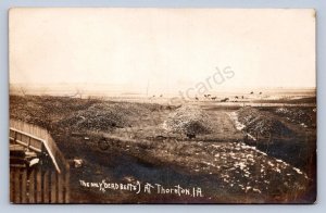 K12/ Thornton Iowa RPPC Postcard c1910 Only Dead Beets Farming 469